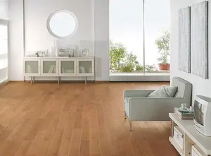 شركة تركيب باركية عجمان